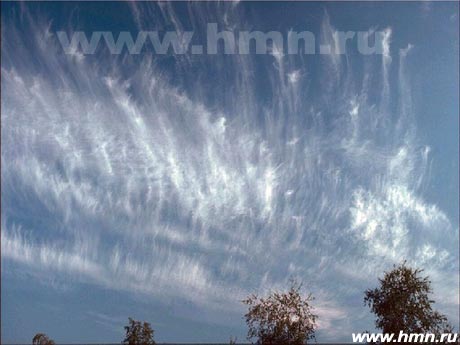 �������� ������������ Cirrus vertebratus (Ci vert)
